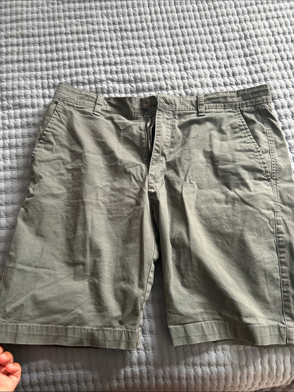 Free Planet Men's Olive Flat Front Shorts